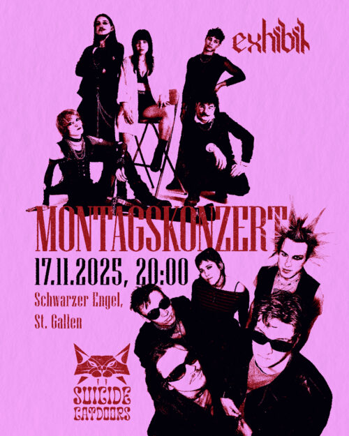 20251117 Schwarzer Engel